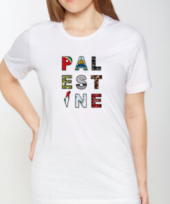 Windows To Palestine Shirts 1