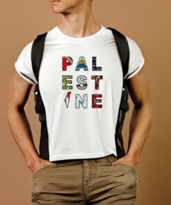 Windows To Palestine Shirts 2