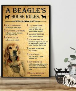 A Beagle house rules poster canvas 1