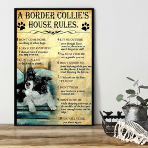 A Border Collie house rules poster canvas 1