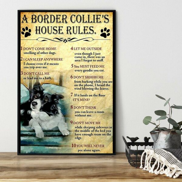 A Border Collie house rules poster canvas