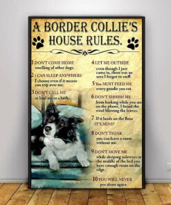 A Border Collie house rules poster canvas 1 A Border Collie house rules poster canvas 2