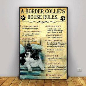 A Border Collie house rules poster canvas 2