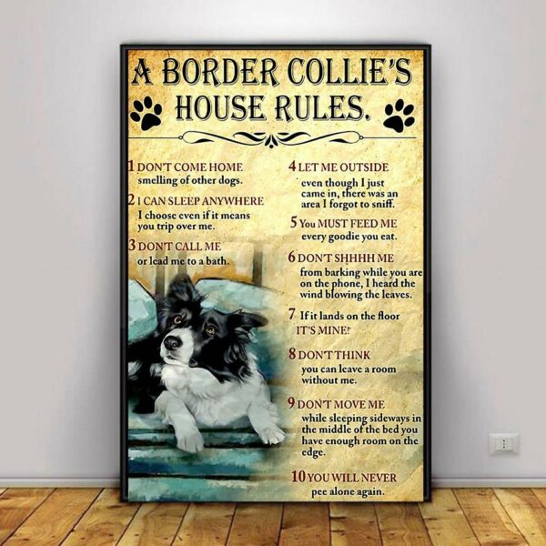 A Border Collie house rules poster canvas