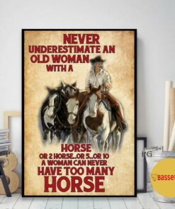 A woman never can have too many horses poster 2