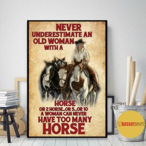 A woman never can have too many horses poster 2