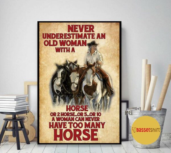 A woman never can have too many horses poster