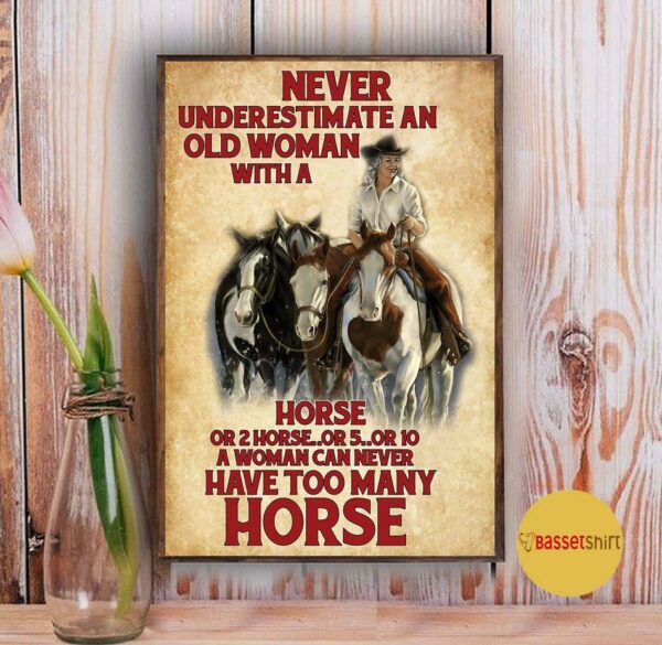 A woman never can have too many horses poster