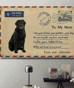 Airmail labrador to mom you are my life poster canvas 1