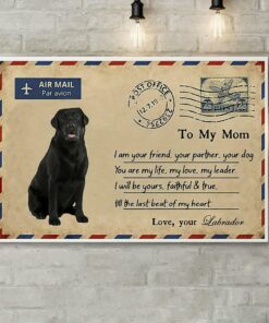 Airmail labrador to mom you are my life poster canvas 2