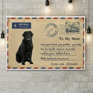 Airmail labrador to mom you are my life poster canvas