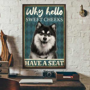 Alaskan Malamute why hello sweet cheeks have a seat poster 3