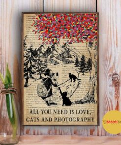 All you need is love cats and photography poster 2 All you need is love cats and photography poster 3