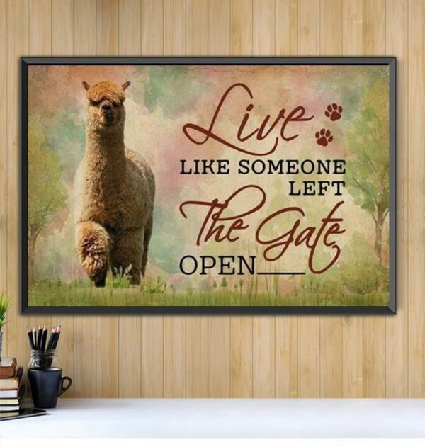 Alpaca live like someone left the gate open canvas