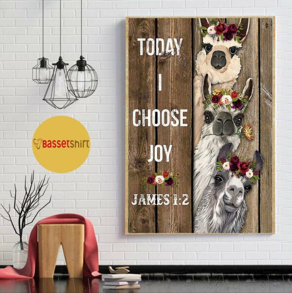 Alpaca today I choose joy poster canvas