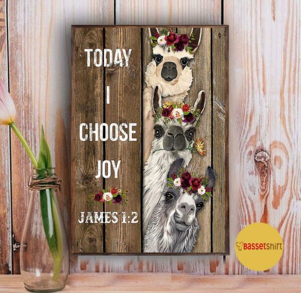 Alpaca today I choose joy poster canvas