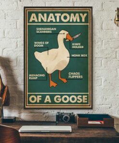 Anatomy of a goose vintage poster 2 Anatomy of a goose vintage poster 3