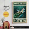 Angels and are called Turtle poster