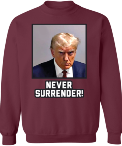 Never Surrender Sweatshirt 1 Never Surrender Sweatshirt 10
