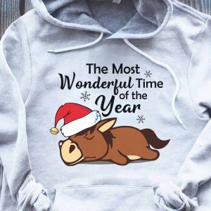 The Most Wonderful Time Of The Year Hoodie