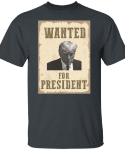 Wanted For President 10