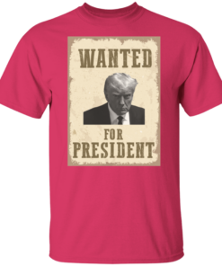 Wanted For President 11