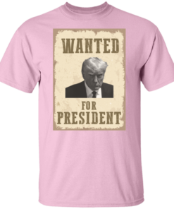 Wanted For President 2