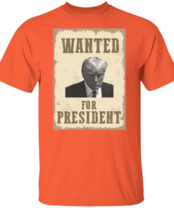 Wanted For President 4