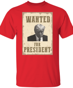 Wanted For President 5