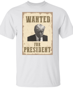 Wanted For President 6