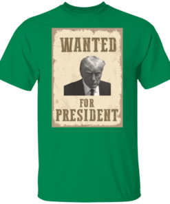 Wanted For President 7