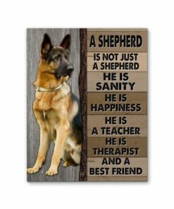 A German Shepherd Dog Canvas Poster 4