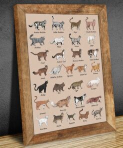 All Cat Breeds Canvas Poster 3