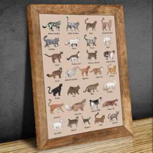 All Cat Breeds Canvas Poster 3