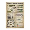 Alligators Crocodiles Knowledge Canvas, Poster