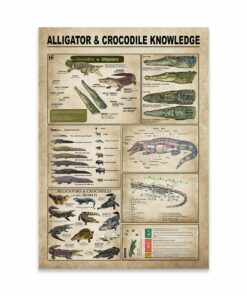 Alligators Crocodiles Knowledge Canvas Poster 1