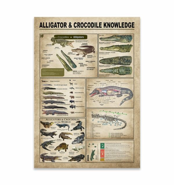 Alligators Crocodiles Knowledge Canvas, Poster