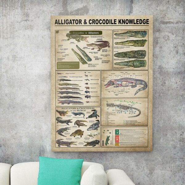 Alligators Crocodiles Knowledge Canvas, Poster