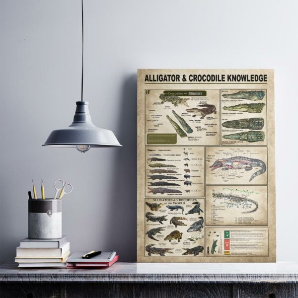 Alligators Crocodiles Knowledge Canvas, Poster