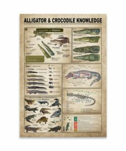 Alligators Crocodiles Knowledge Canvas Poster 4