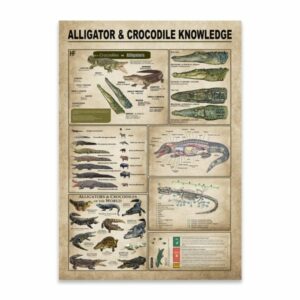 Alligators Crocodiles Knowledge Canvas Poster 4