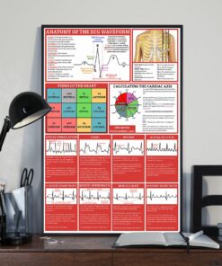 Anatomy Of The ECG Waveform Cardiologist Poster, Canvas 1 Anatomy Of The ECG Waveform Cardiologist Poster Canvas 2