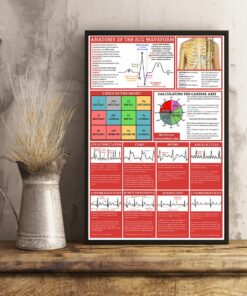 Anatomy Of The ECG Waveform Cardiologist Poster, Canvas 2 Anatomy Of The ECG Waveform Cardiologist Poster Canvas 3
