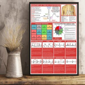 Anatomy Of The ECG Waveform Cardiologist Poster Canvas 3