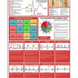 Anatomy Of The ECG Waveform Cardiologist Poster Canvas 4