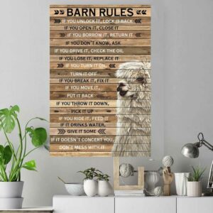 Barn Rules Alpaca wood poster canvas 5