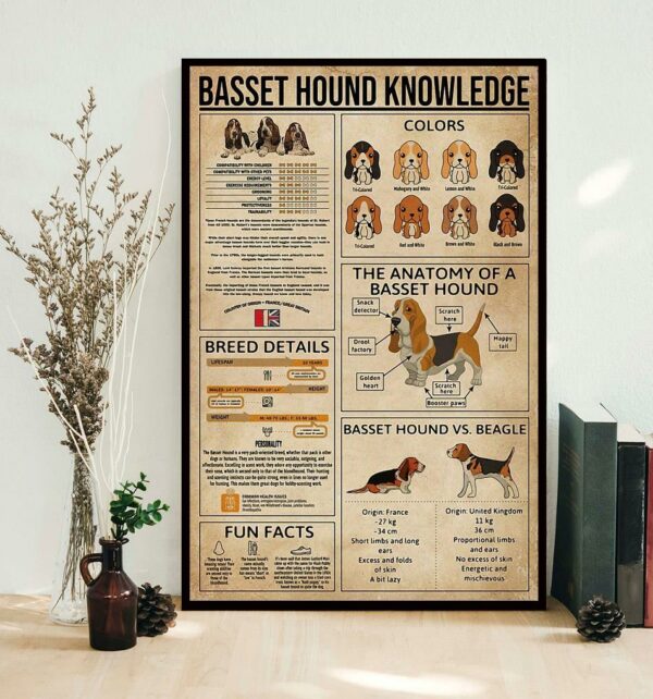 Basset Hound Knowledge poster canvas