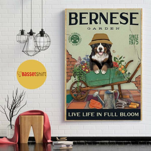 Bernese Mountain garden live life in full bloom poster canvas