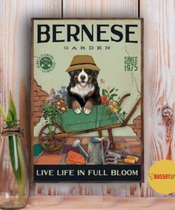 Bernese Mountain garden live life in full bloom poster canvas 3