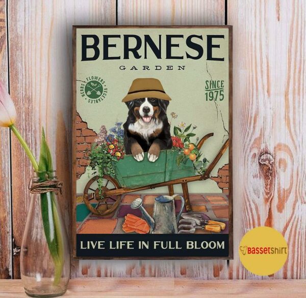 Bernese Mountain garden live life in full bloom poster canvas